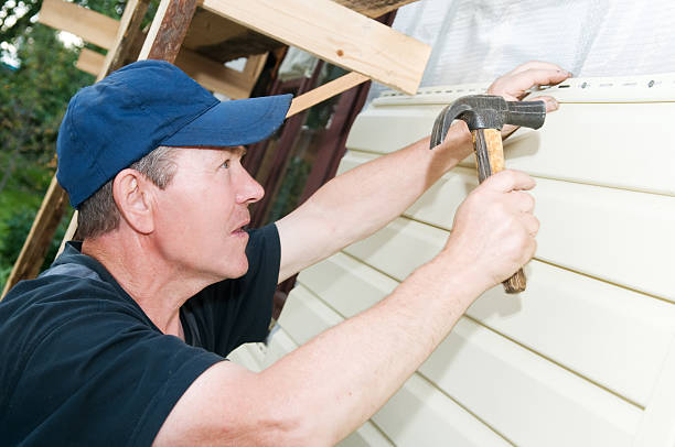 Best Siding Removal and Disposal  in Christopher, IL