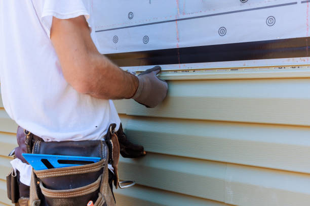 Best Fiber Cement Siding Installation  in Christopher, IL